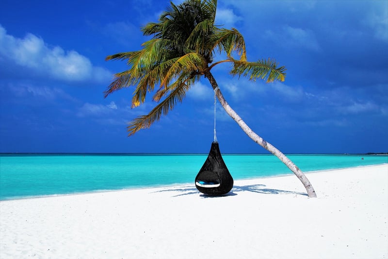 Hammock